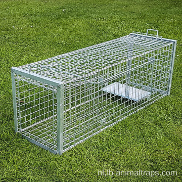 Humane opvouwbare levende dierenval Cage Fox Traps